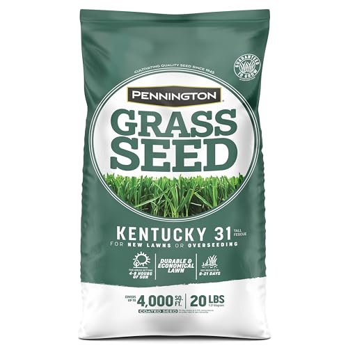 Spring or fall planting with Pennington Kentucky 31 promotes steady growth