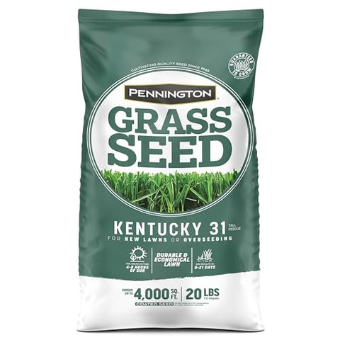 Spring or fall planting with Pennington Kentucky 31 promotes steady growth
