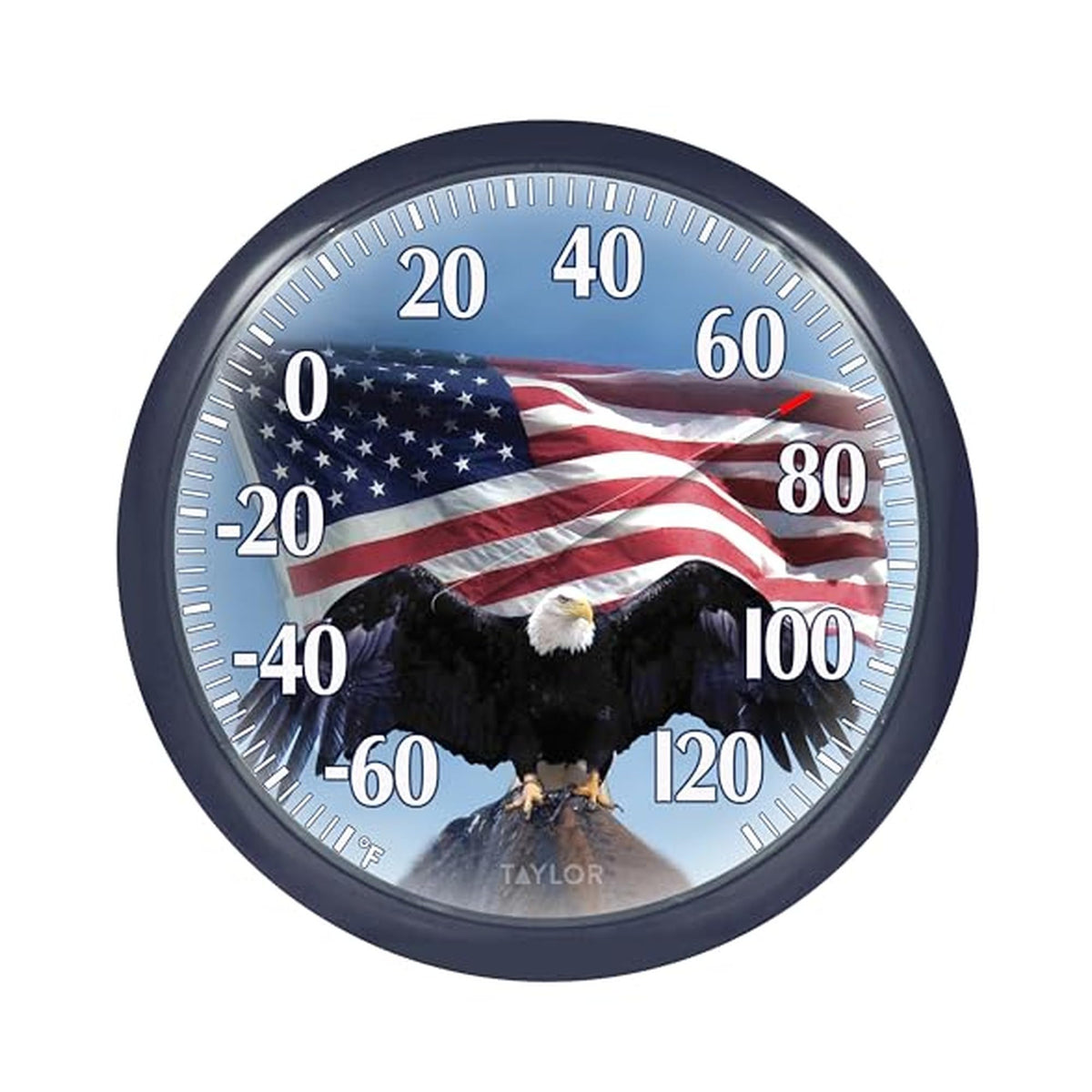 Springfield Taylor bald eagle thermometer display offers easy-to-read readings from distance