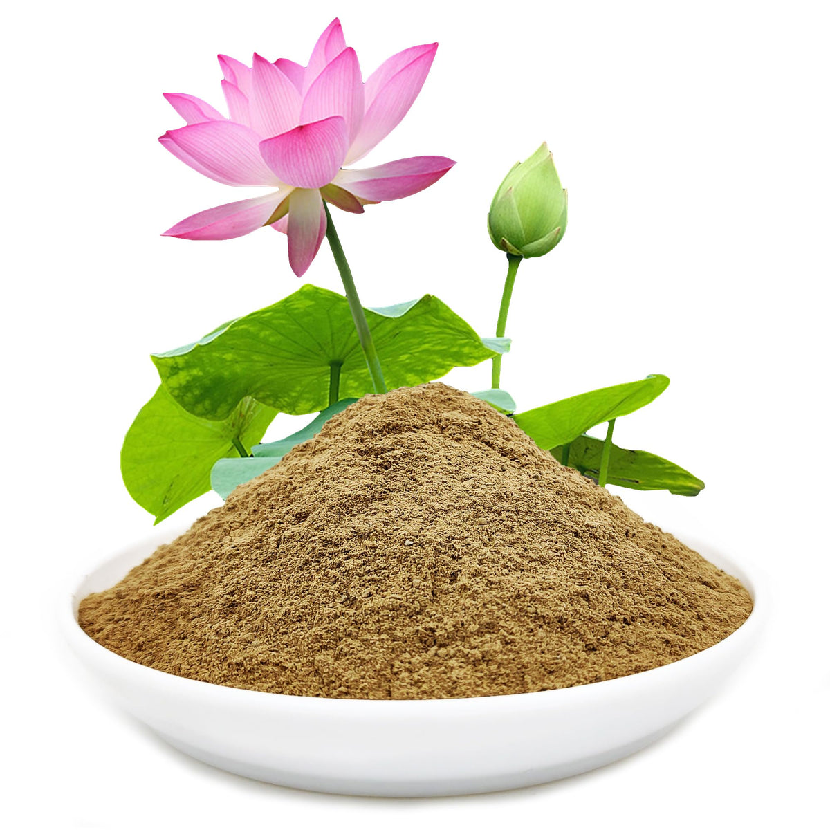 SpringSmart lotus pond mud bag ready for bonsai lotus planting and aquatic soil use.