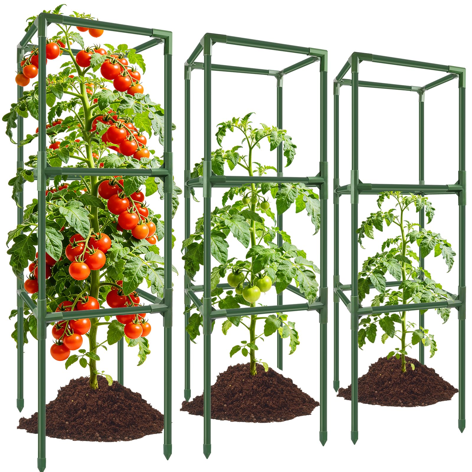 SprintGy 3-pack square tomato cages offer sturdy support for climbing tomatoes in windy gardens.