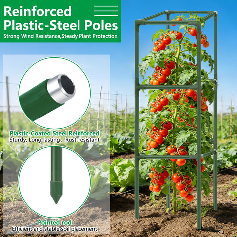 SprintGy heavy-duty steel tomato cages withstand heavy fruit loads without bending.
