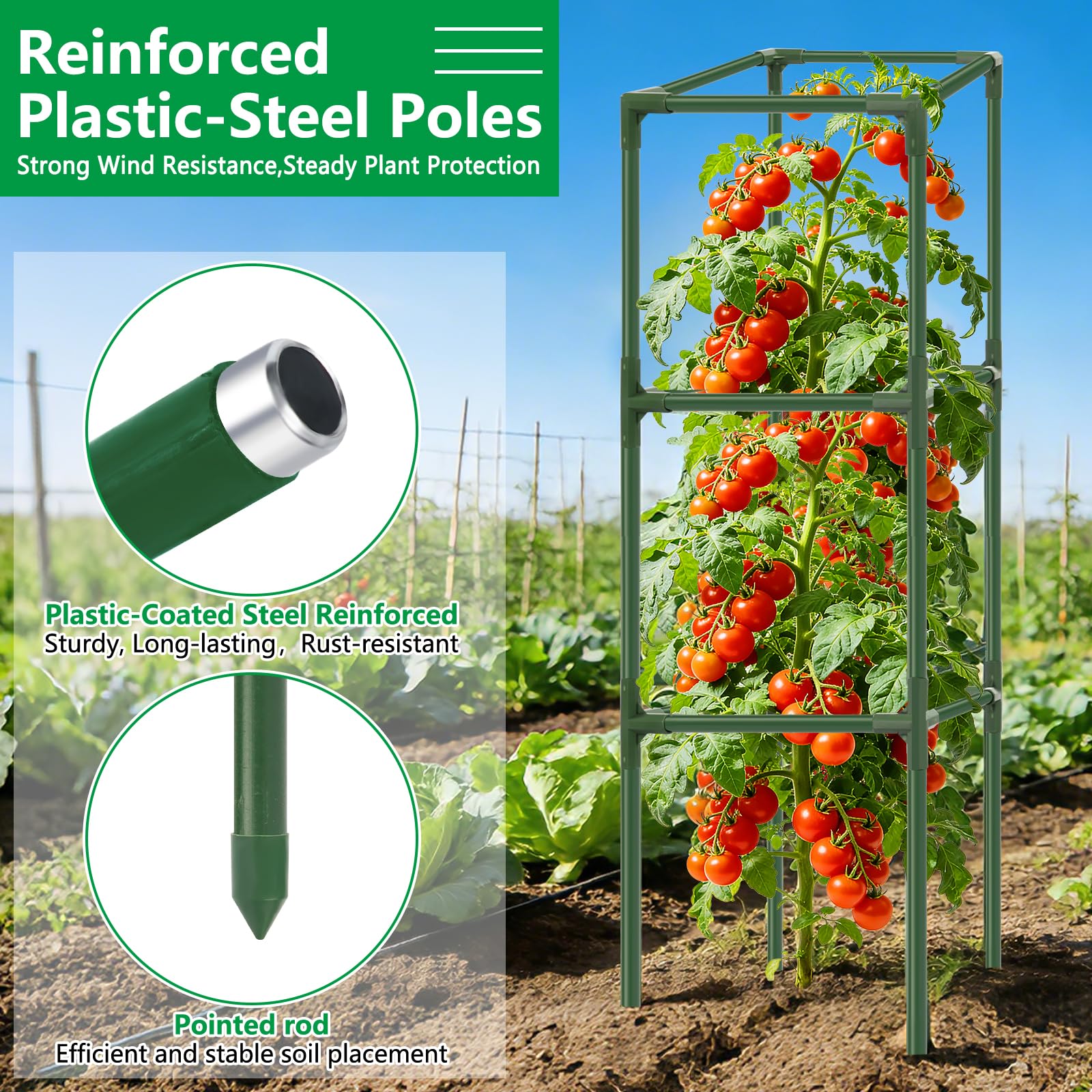 SprintGy modular height-adjustable cages adapt to different plant growth stages.