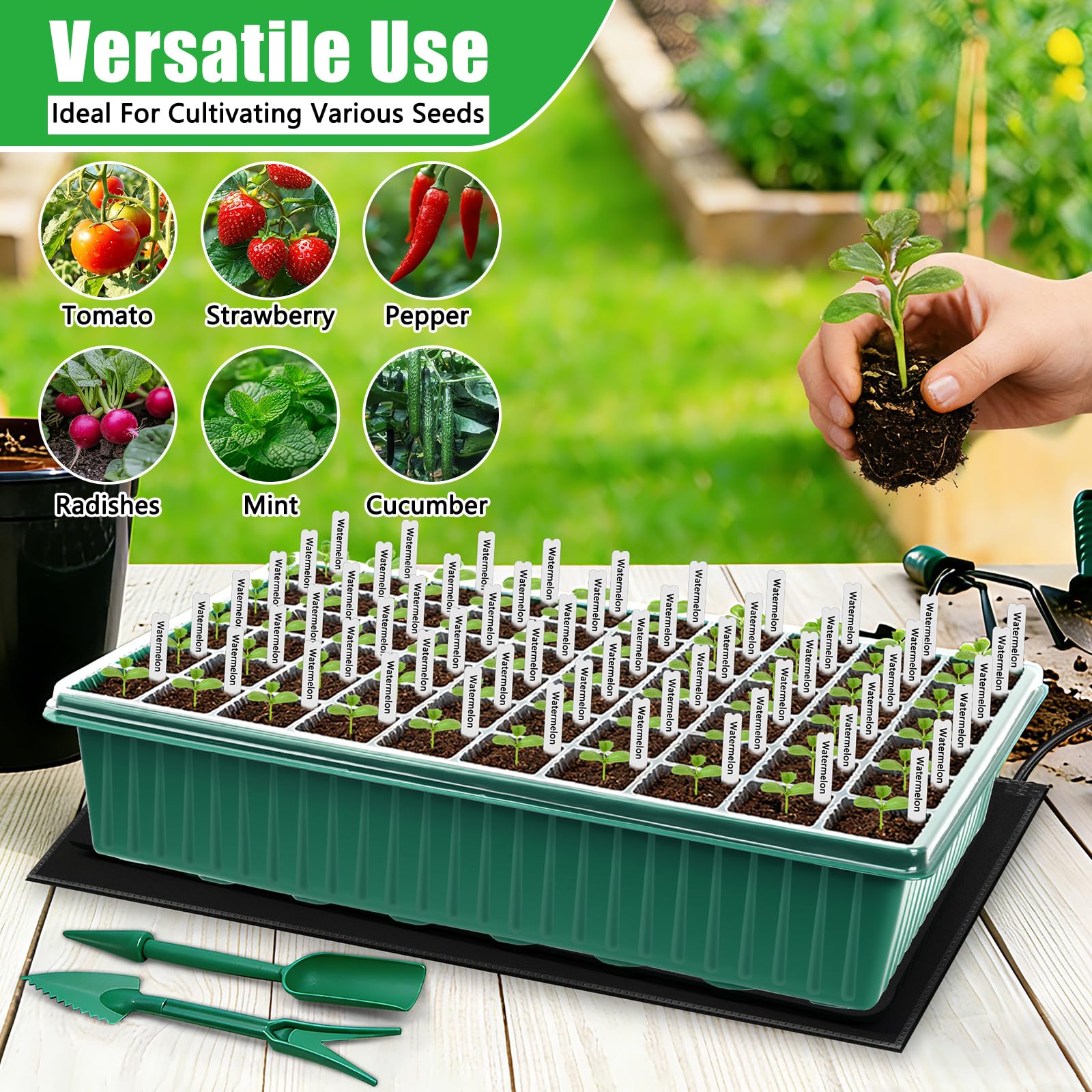 SprintGy seed-labels-and-tools helps tidy seedling planning