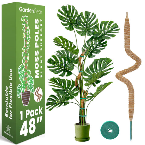 Sproot 48in bendable moss pole supports monstera growth for a vertical display