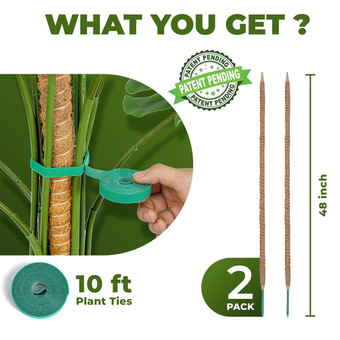 Sproot bendable 48-inch moss pole wrapped in coco coir promotes natural climbing