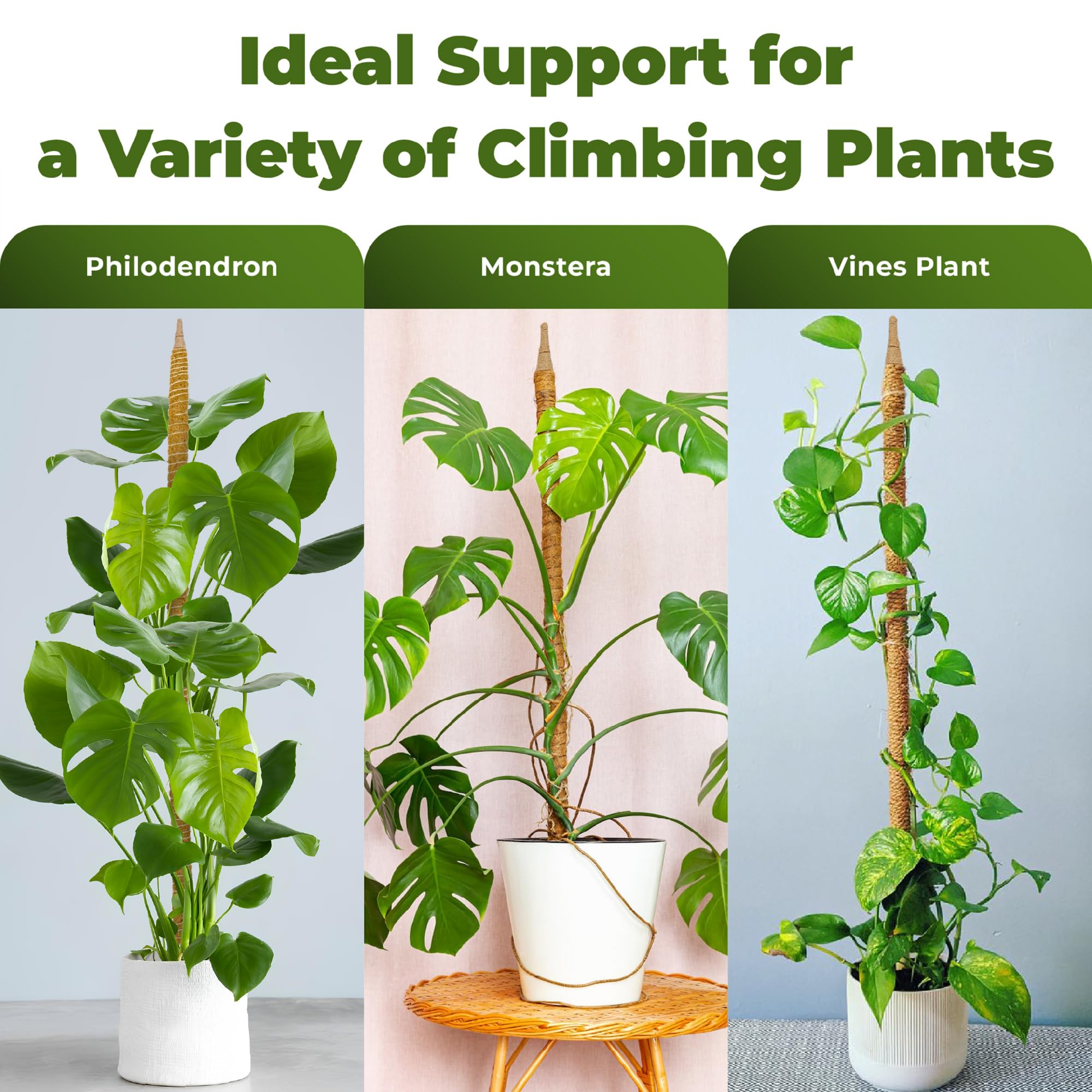 Sproot coco coir moss pole supports climbers with breathable surface