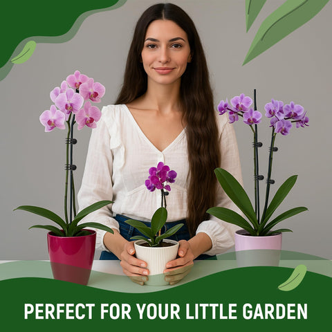 All-in-one Sproot stake kit for upright growth in plants.