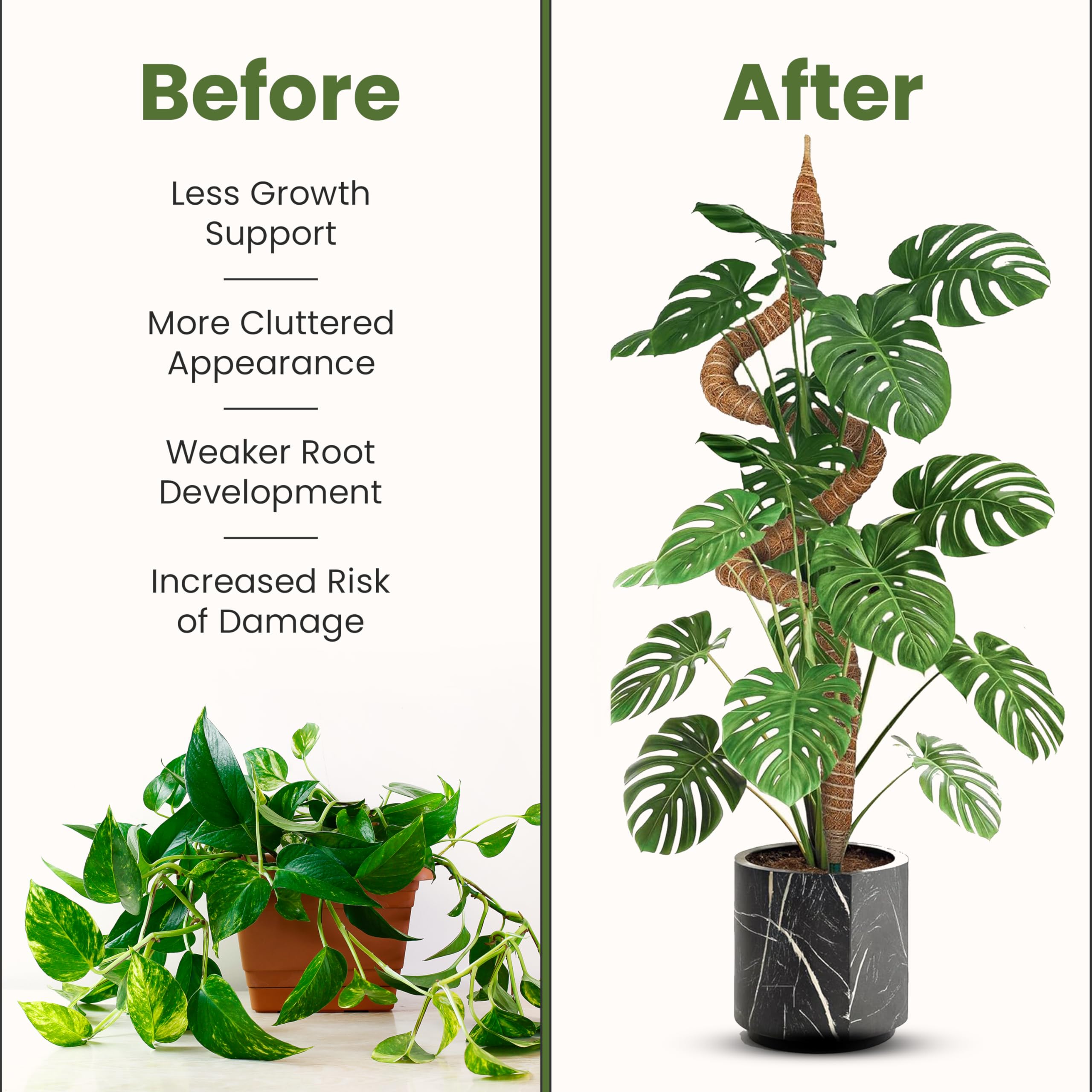 Sproot indoor vertical display illustrating space-saving arrangement for climbing plants