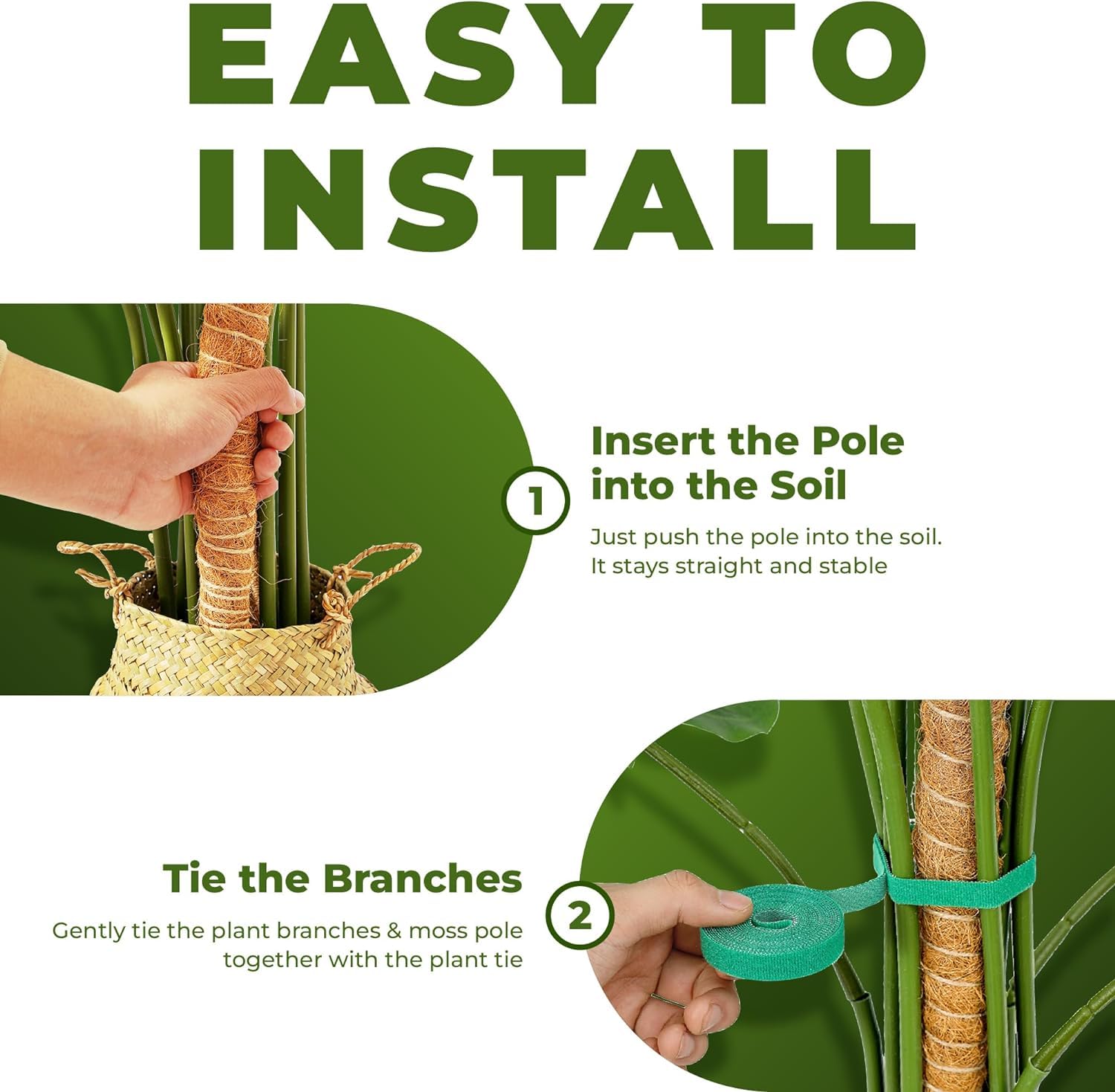 Sproot monstera climbing station supports natural growth