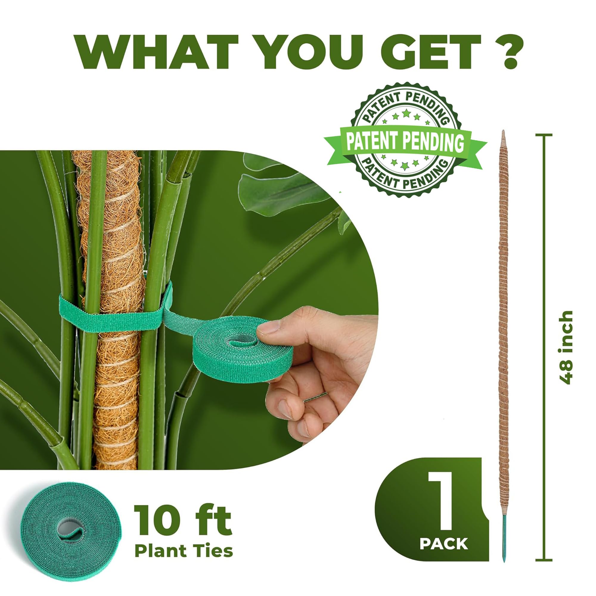 Sproot moss pole with coco coir wrap provides a breathable surface for climbing plants