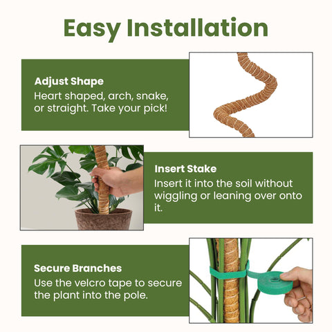 Sproot moss pole tie system securing stems gently as plants grow