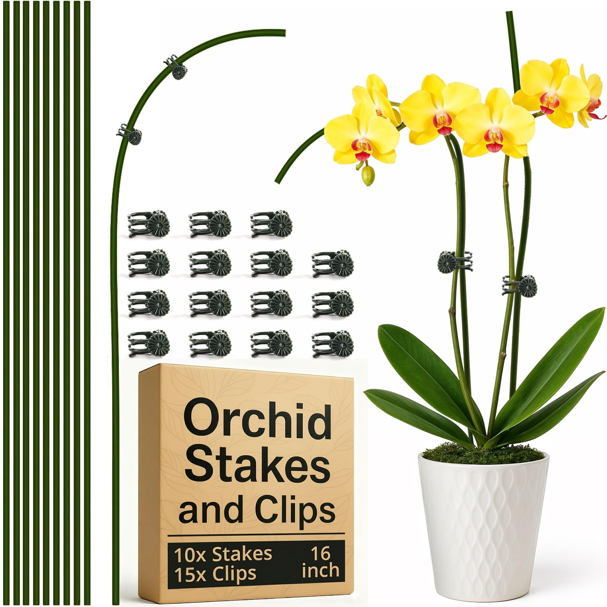 Sproot 16-inch green plant stake providing upright support for indoor plants.