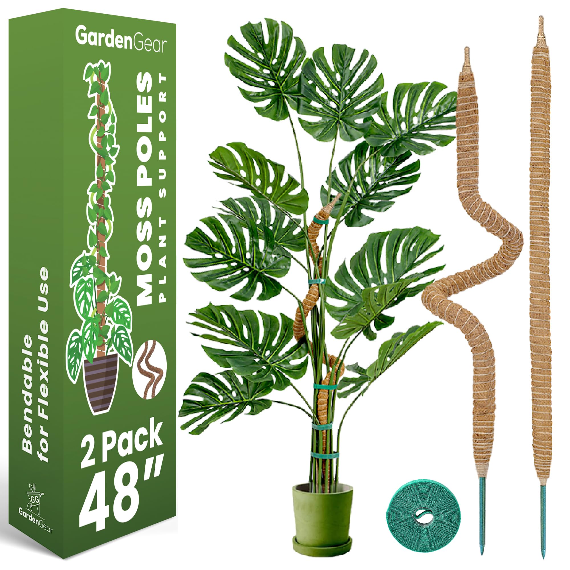 Sproot two-pack moss poles providing sturdy support for climbing monstera and pothos