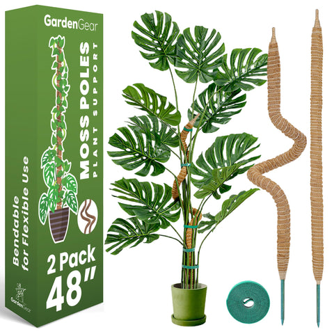 Sproot two-pack moss poles providing sturdy support for climbing monstera and pothos
