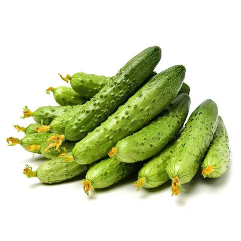 Compact SPROUTARAQ cucumber vines spreading 2 to 4 feet.
