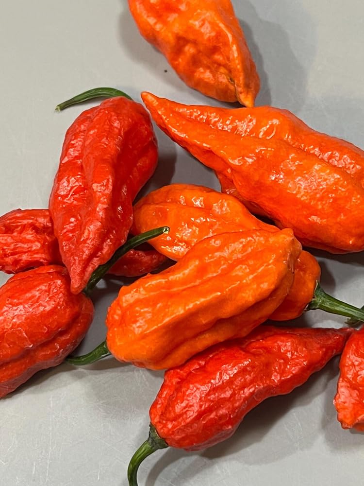 Container garden setup with ghost pepper, space-saving hot variety.