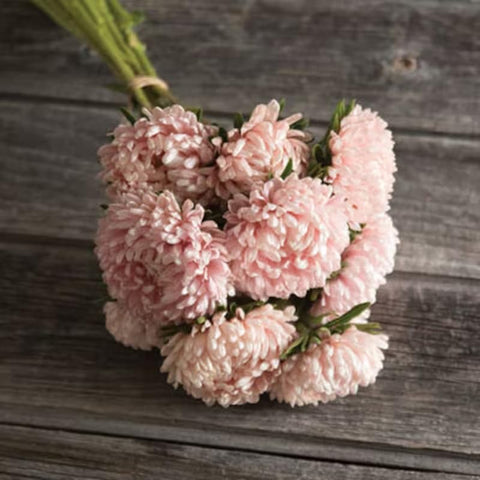 SPROUTARAQ Duchess Peony Aster blooms from late summer to early fall.