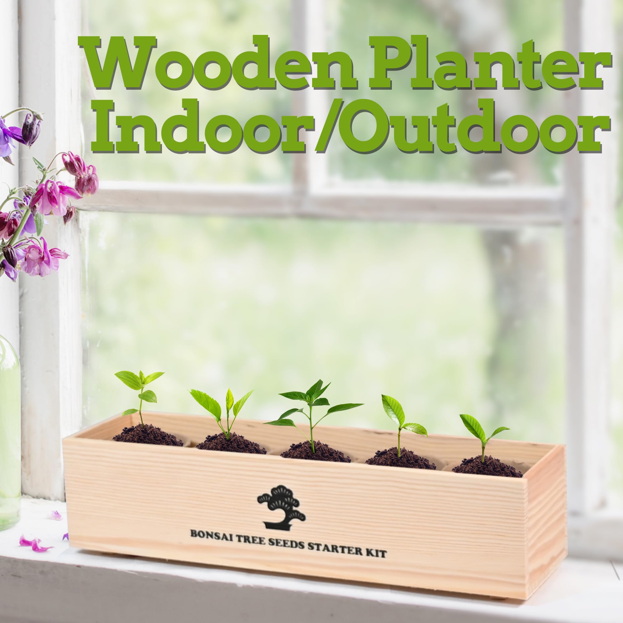 Sproutix bonsai pruner and small water bottle included.