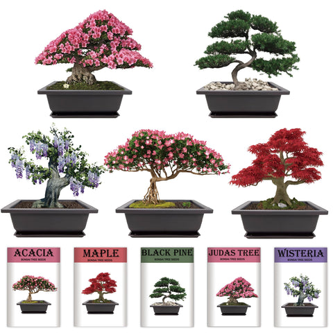 Sproutix planter box designed for seed germination and early growth.