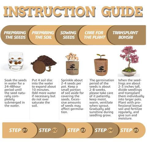 Sproutix soil discs expand when soaked to help seedlings develop.