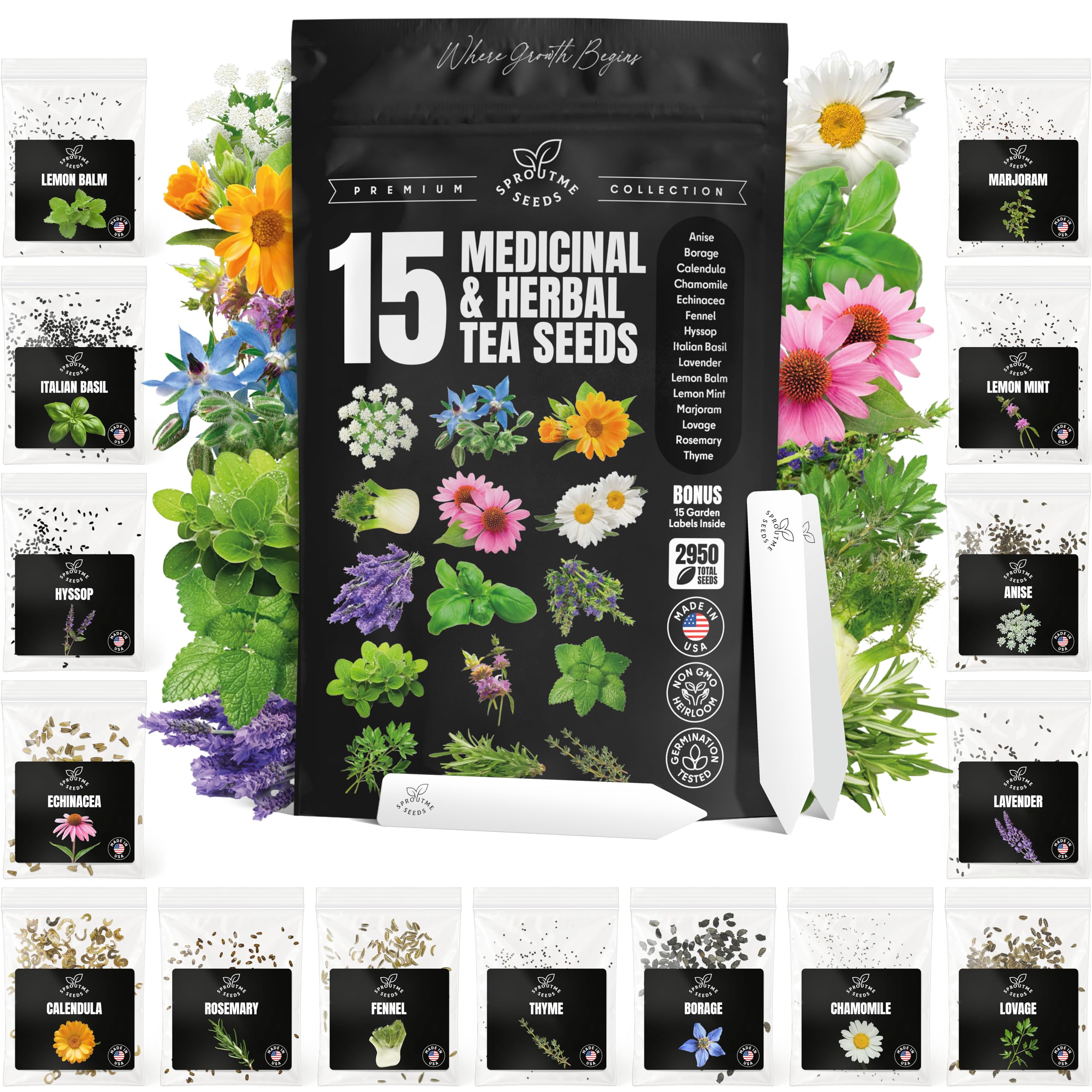 SPROUTME SEEDS Calendula blossoms for home gardens and herbal teas.