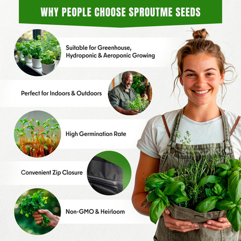 SPROUTME SEEDS calendula full-sun growth supports reliable, bloom-filled seasons.
