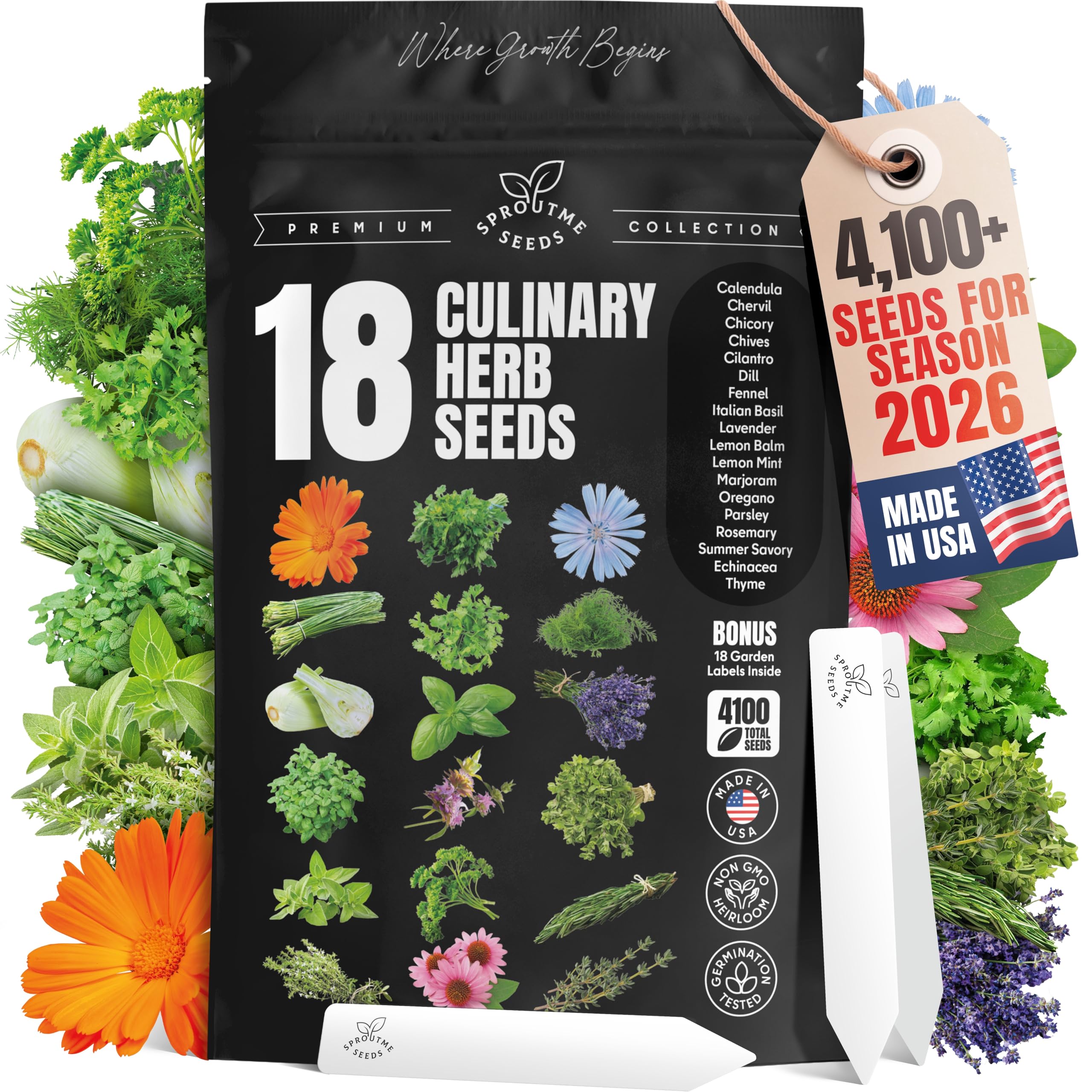 SPROUTME SEEDS Basil seeds for fresh home cooking and easy garnish.