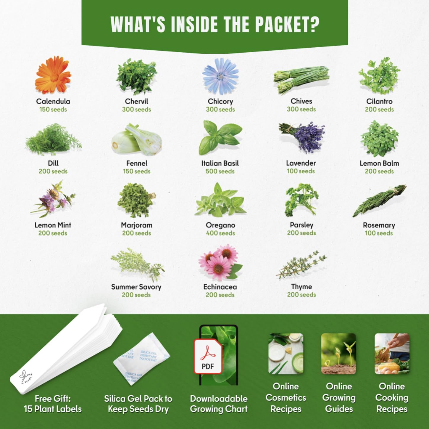 SPROUTME SEEDS Cilantro seeds for vibrant salsas and flavor.