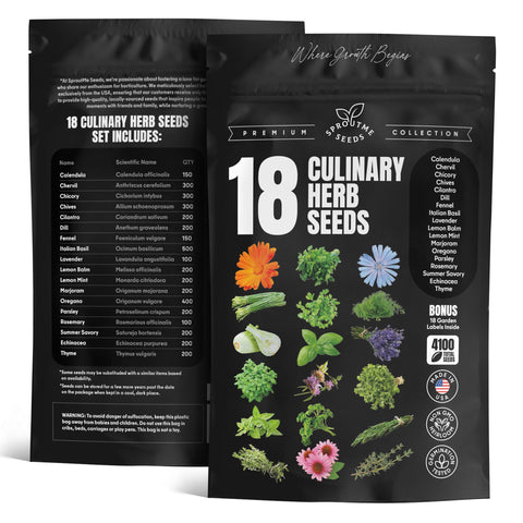 SPROUTME SEEDS Lavender seeds for fragrant gardens and desserts.