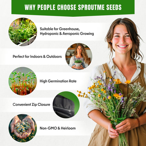 SPROUTME SEEDS Hyssop sprigs for scented borders and culinary infusions.