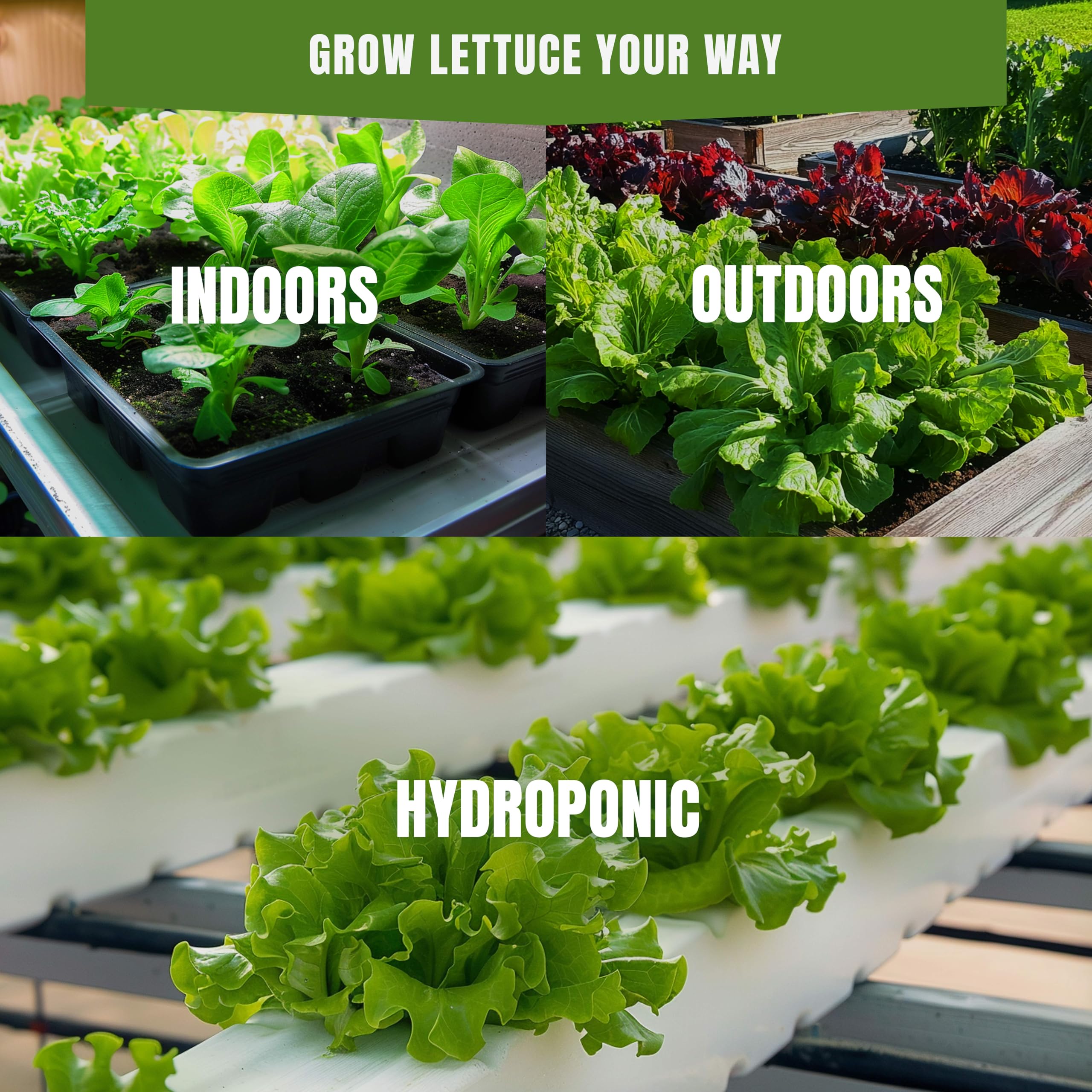SPROUTME SEEDS indoor garden setup image; compact greens for balcony growing.