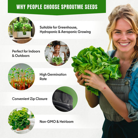 SPROUTME SEEDS outdoor garden beds; nourishing greens for seasonal harvests.