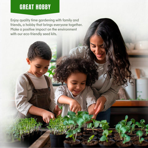 SPROUTME SEEDS Serrano plants thriving in sunny garden beds