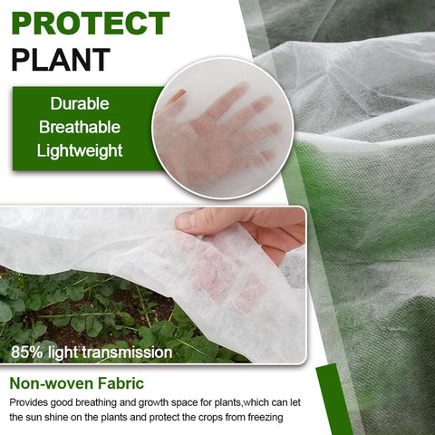 Sprthrd floating row cover protecting seedlings during early planting season