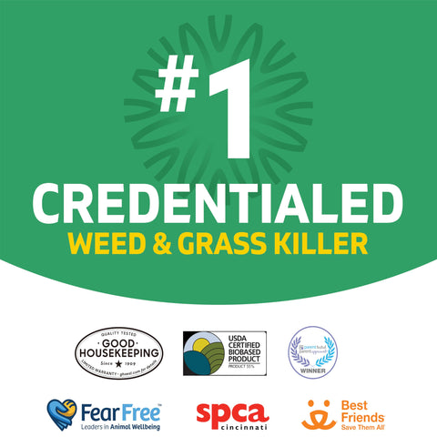Spruce Weed Killer Refill used on mulch beds to target weeds.