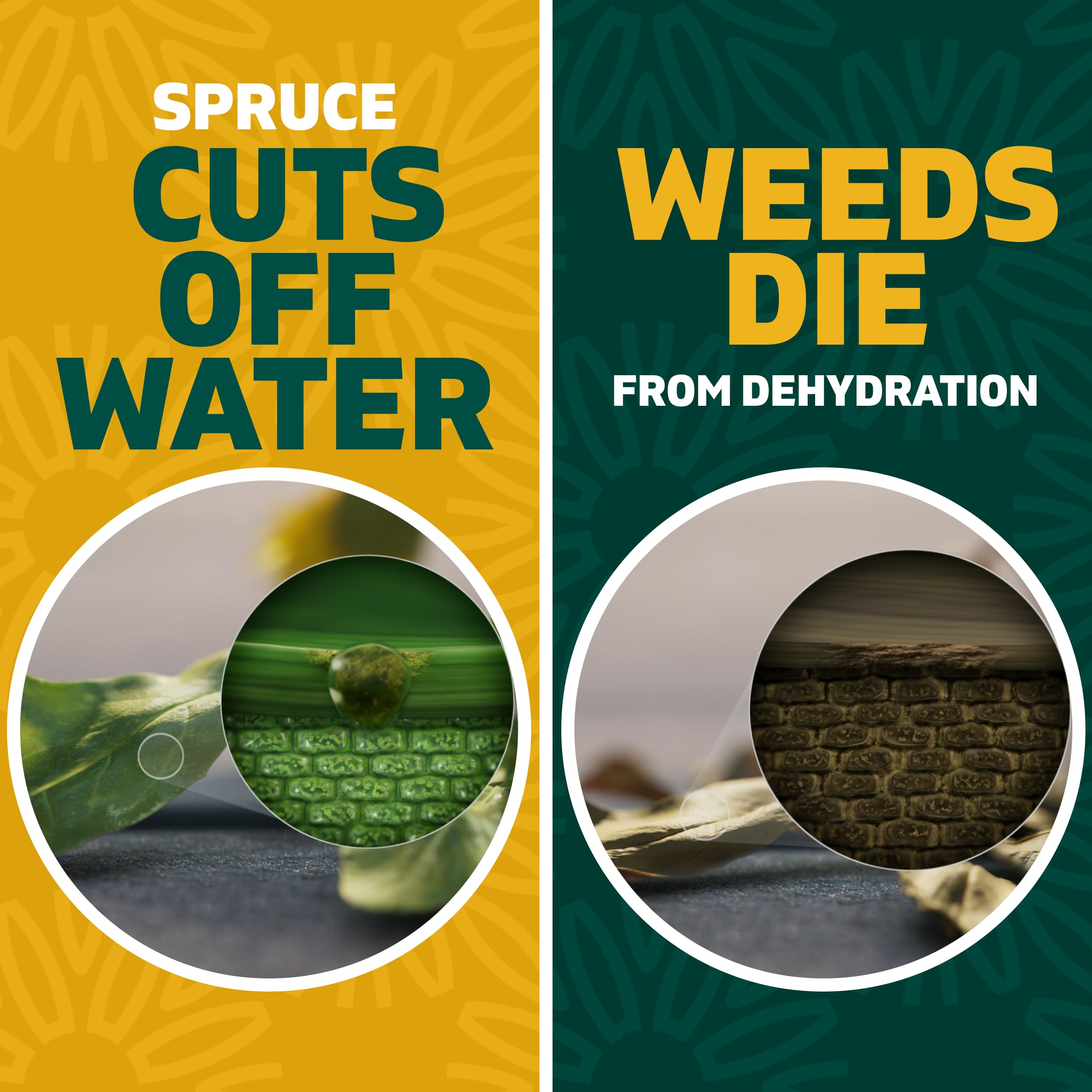 Spruce Weed Killer Spray in action demonstrating spot treatment efficacy