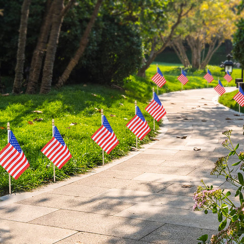 spxkd 4x6 inch flag set for Independence Day decorations indoors or outdoors