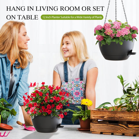 SQKH 12inch hanging basket set with chains, ready to install.
