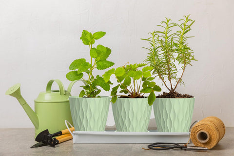 SQKH 4-inch indoor planter green color enhances small spaces.