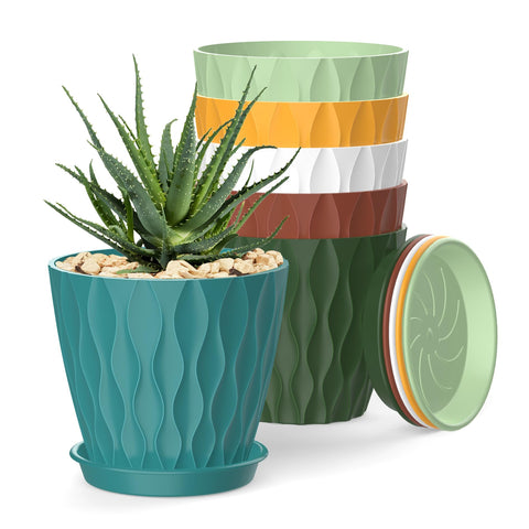 SQKH 4-inch pot with drainage holes and tray for healthy roots.