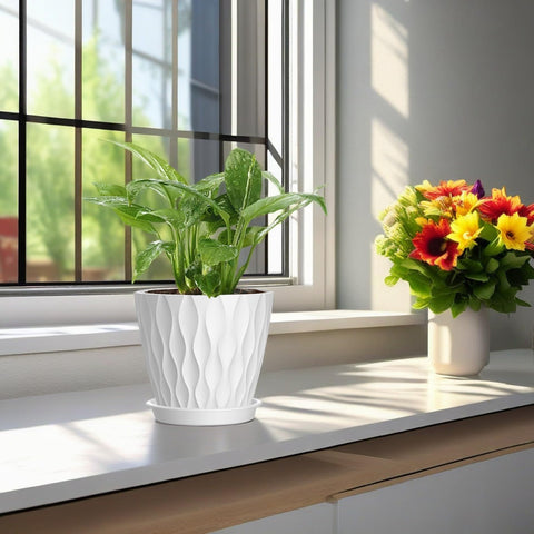 SQKH 4-inch pot supports herbs and small succulents on countertops.