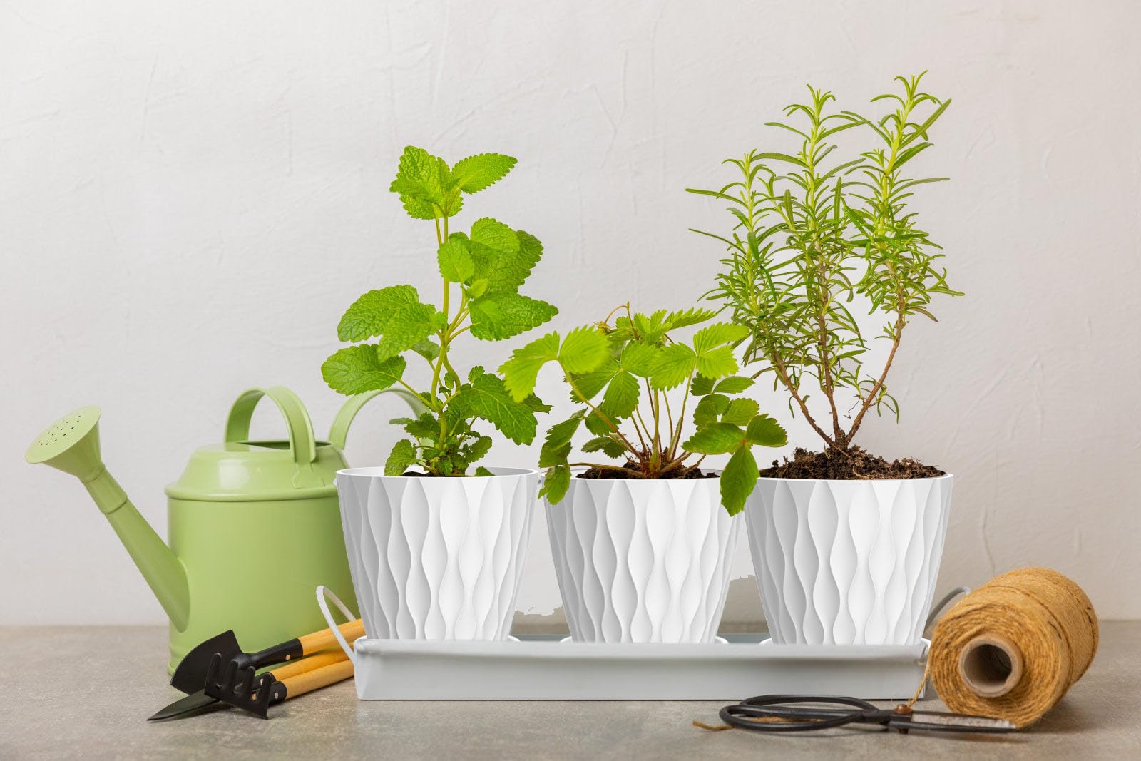 SQKH orchid pot ideal for compact indoor orchid display.