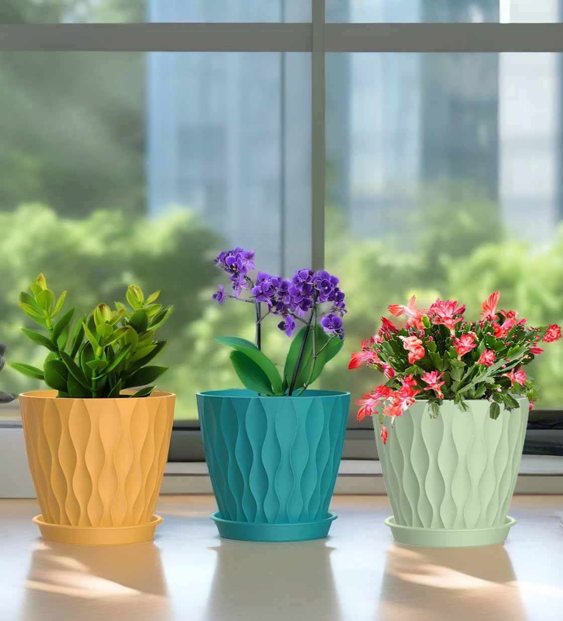 SQKH succulent pot designed for easy care and ventilation.