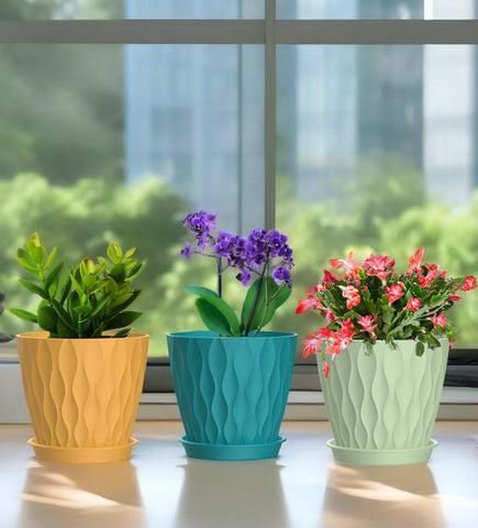 SQKH succulent pot designed for easy care and ventilation.
