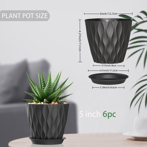 SQKH 5-inch planter pots with attached tray catching excess water and soil.