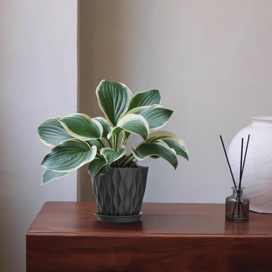 SQKH 5-inch planter pots made of durable polypropylene resisting sun damage.