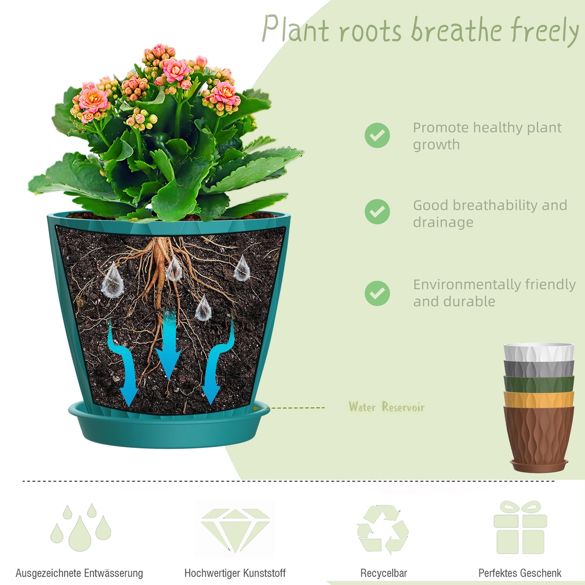 SQKH 6-inch planter for orchids and succulents helps keep soil dry and tidy.