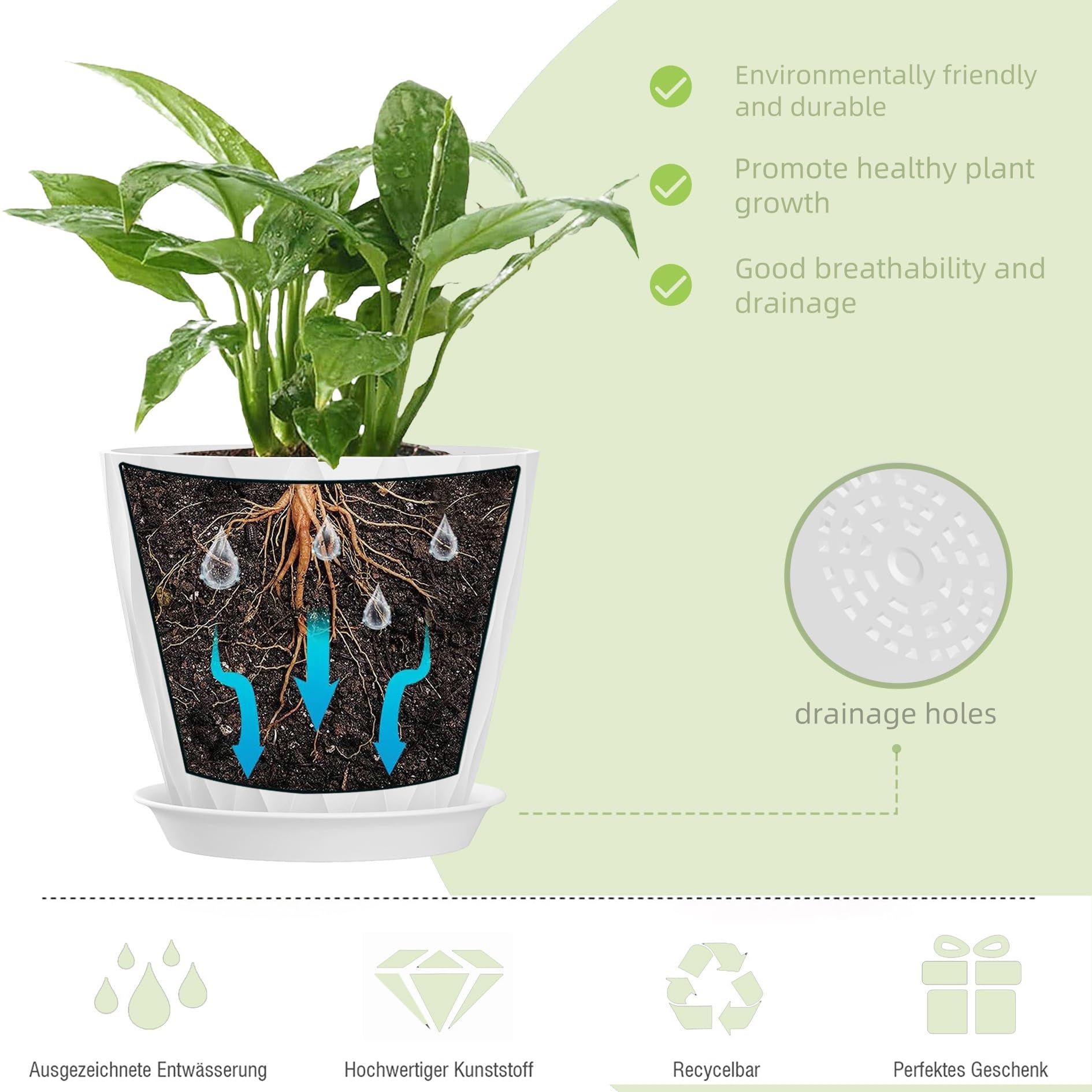 SQKH 7 Inch plant pots with drainage holes support healthy root airflow.