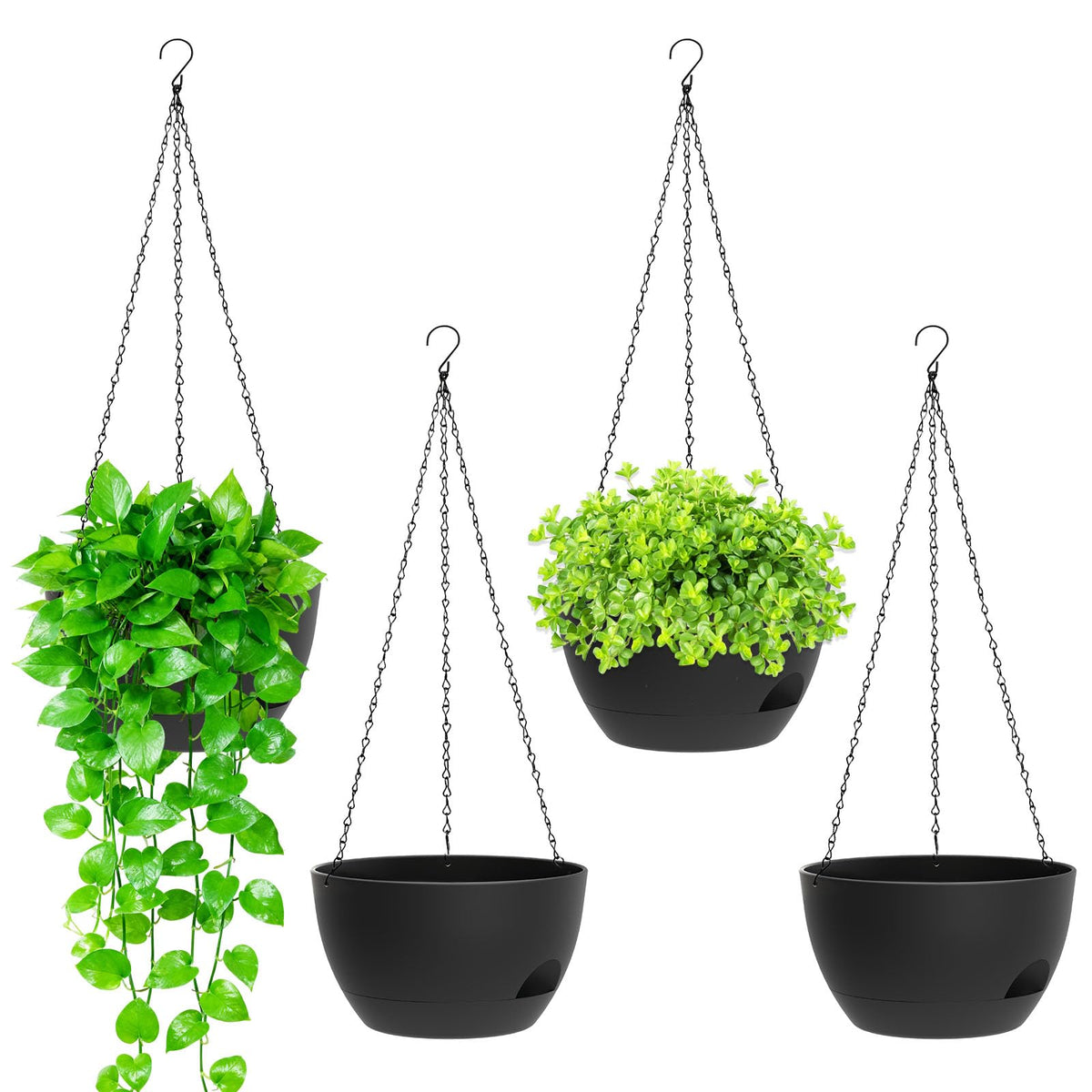 SQKH 8-Inch hanging planter front view demonstrates self-watering for thriving indoor greenery.